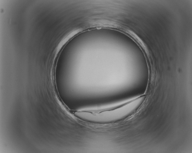 X0000086081293200704091251