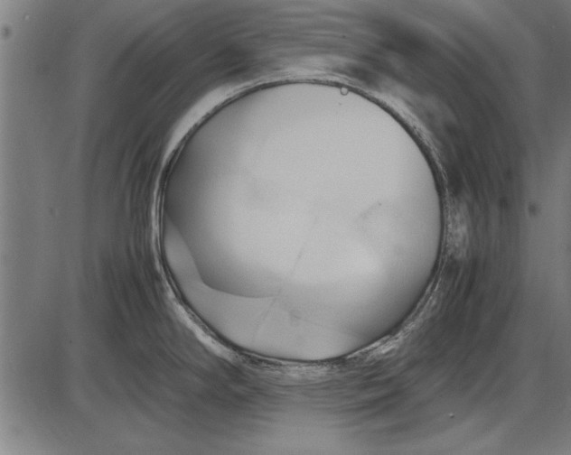 X0000086081294200704091251