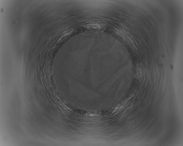 X0000086081297200704091250