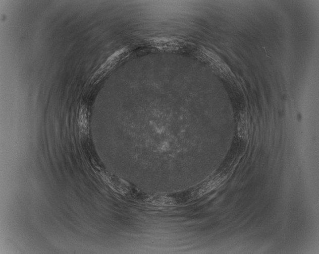 X0000086081298200704091250