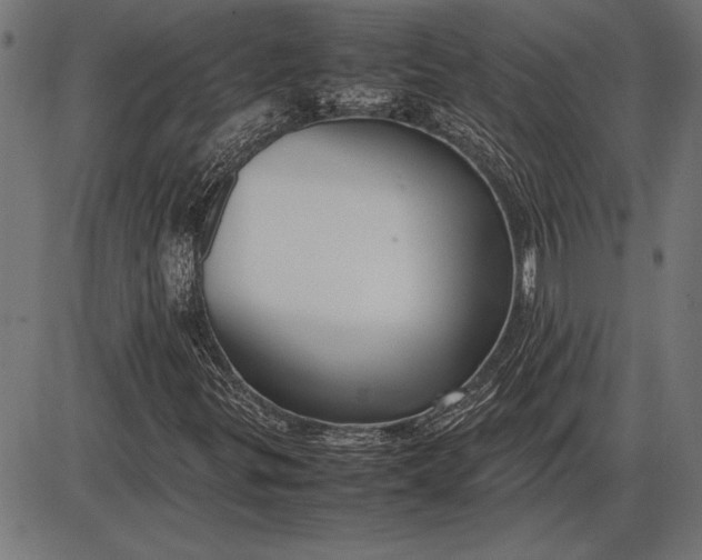 X0000086081299200704091250