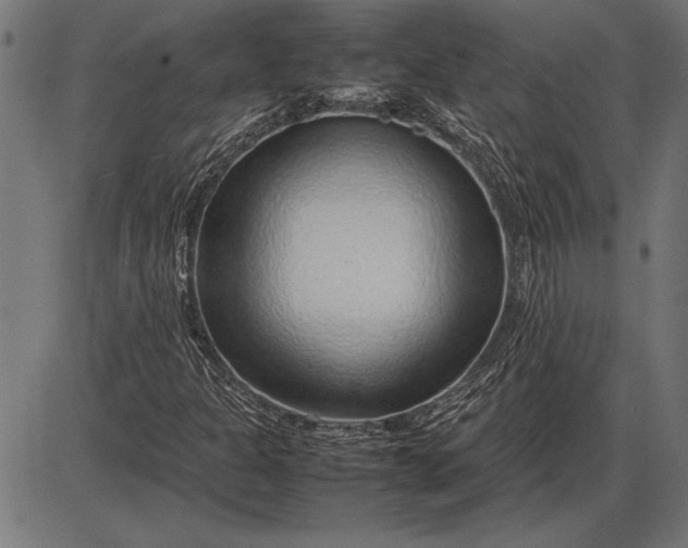 X0000086081301200704091250