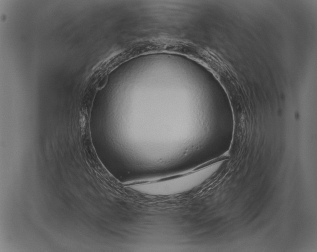 X0000086081302200704091251