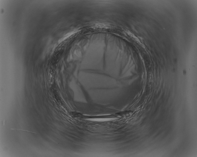 X0000086081303200704091251