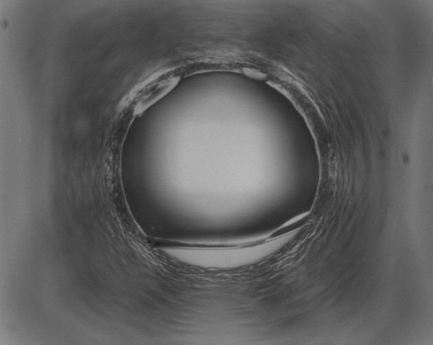 X0000086081304200704091251