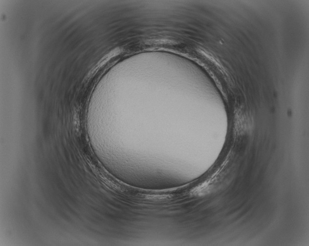 X0000086081305200704091251