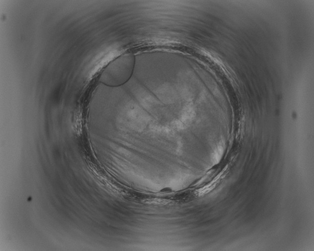 X0000086081306200704091251