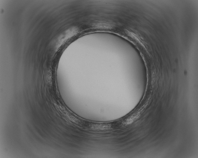 X0000086081307200704091251