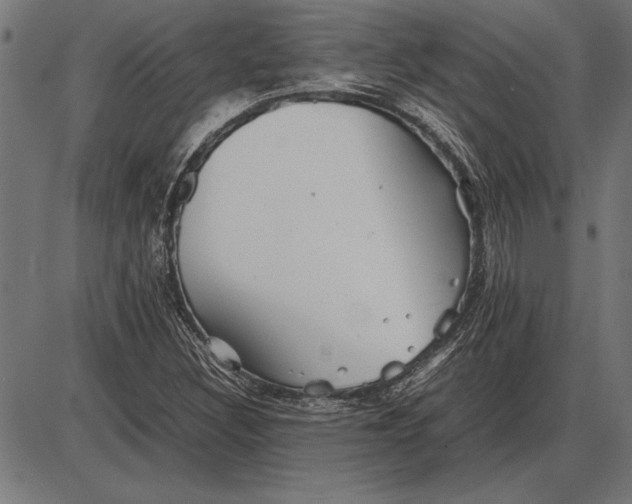 X0000086081308200704091251