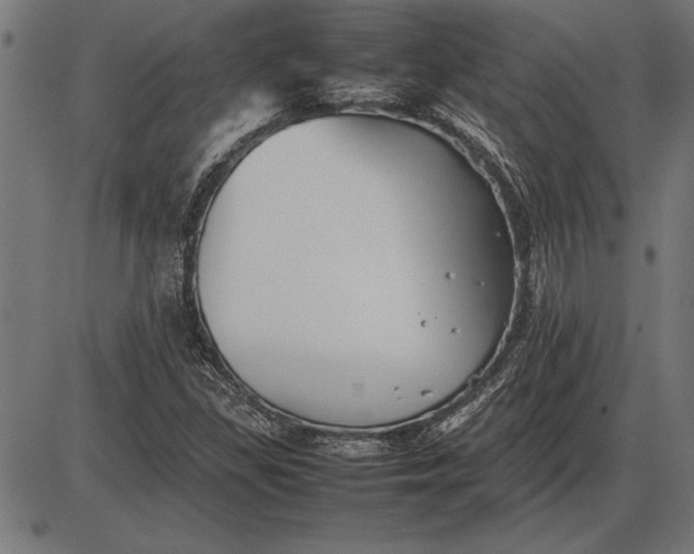 X0000086081309200704091251