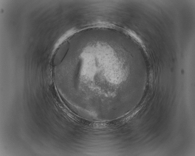 X0000086081310200704091251