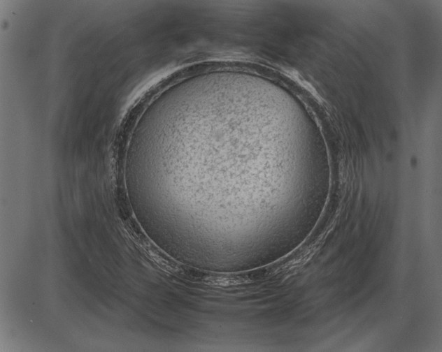 X0000086081311200704091251