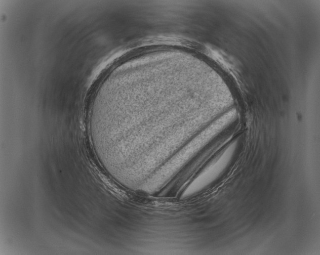 X0000086081312200704091251