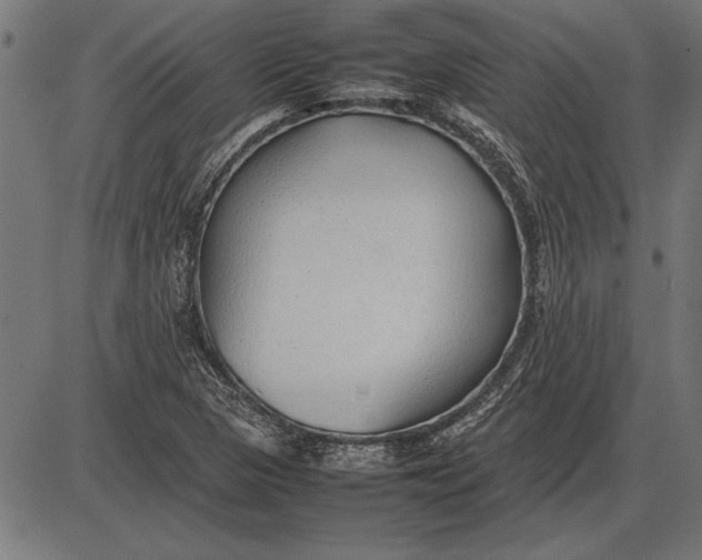 X0000086081313200704091251