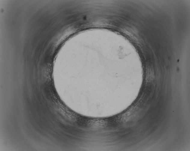 X0000086081314200704091251