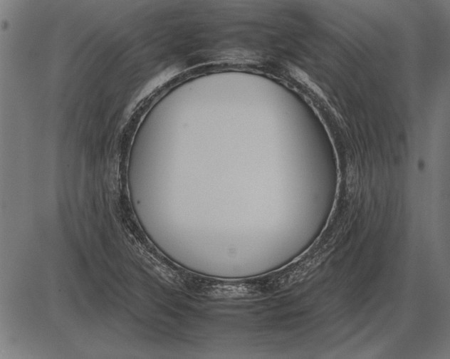 X0000086081315200704091251