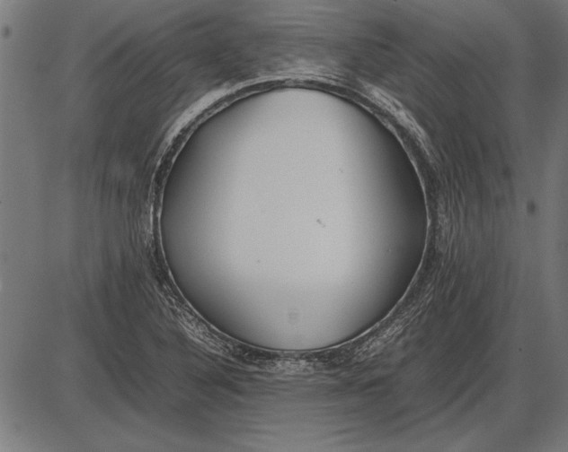 X0000086081316200704091251