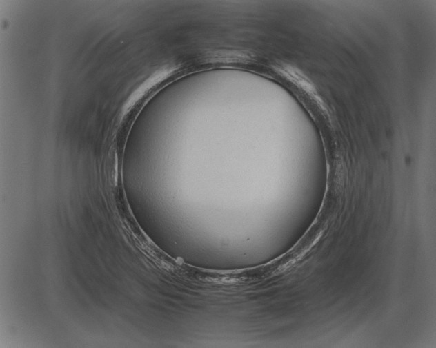 X0000086081317200704091251