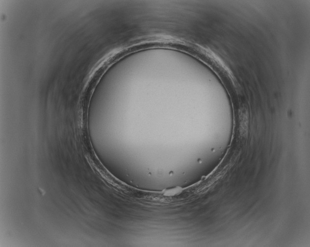 X0000086081318200704091251