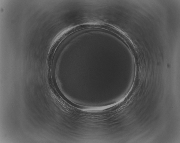 X0000086081319200704091251