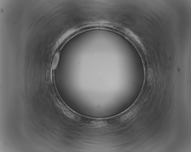 X0000086081320200704091251