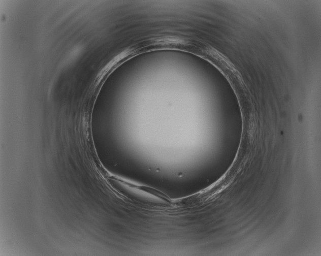 X0000086081321200704091251