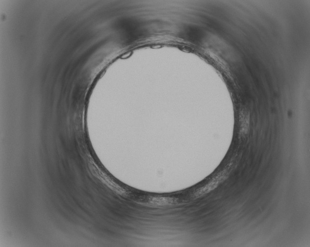 X0000086081322200704091251