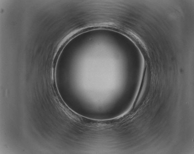 X0000086081324200704091251