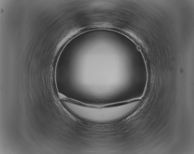 X0000086081325200704091251