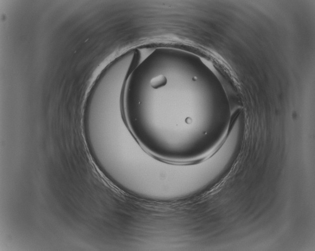 X0000086081326200704091251