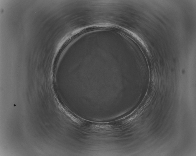 X0000086081327200704091251