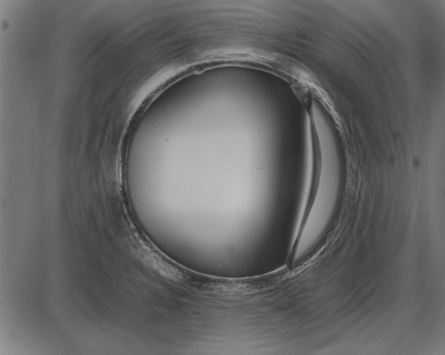 X0000086081328200704091251