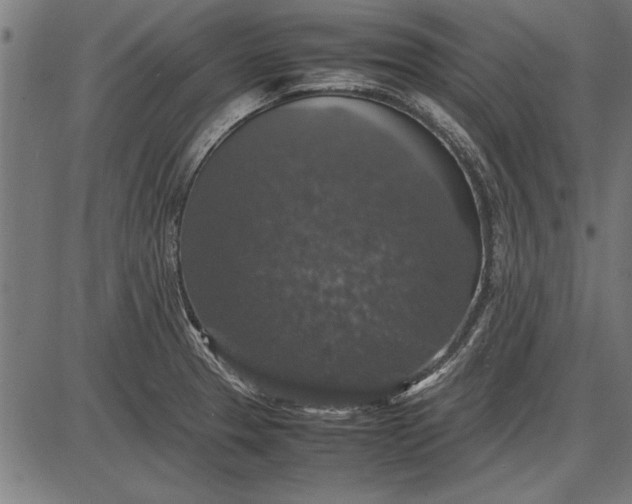 X0000086081329200704091251