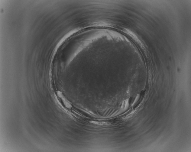 X0000086081331200704091251