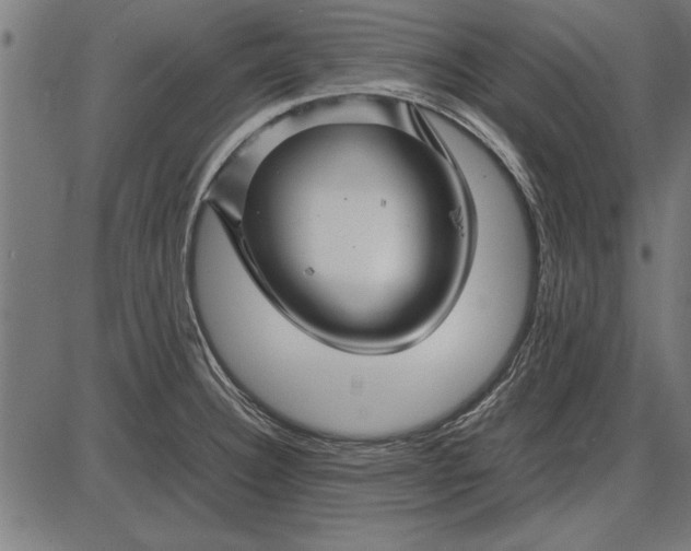 X0000086081332200704091251