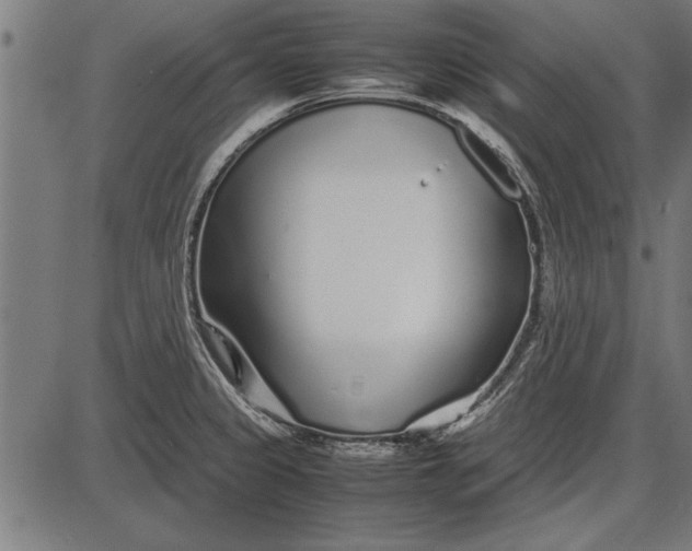 X0000086081333200704091251