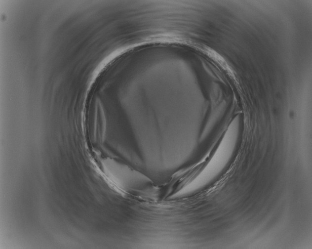 X0000086081334200704091251