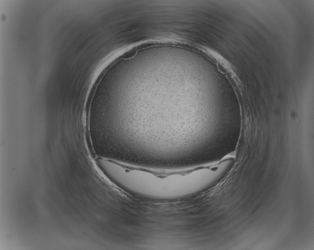 X0000086081335200704091251