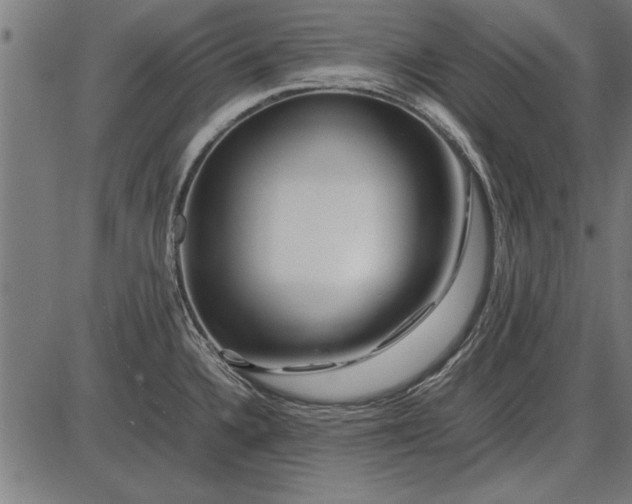 X0000086081336200704091251