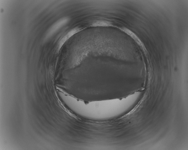 X0000086081337200704091251