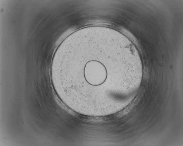 X0000086081338200704091251