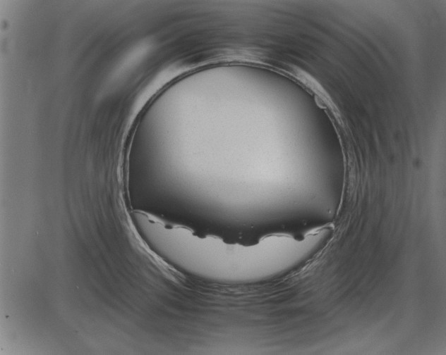 X0000086081339200704091251