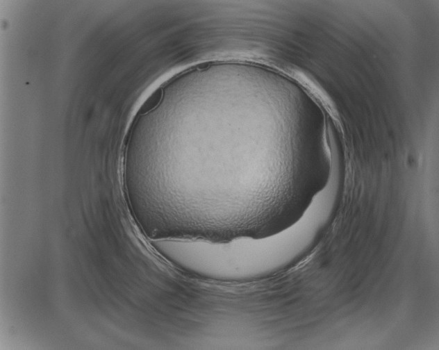 X0000086081340200704091251