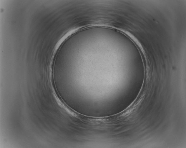 X0000086081341200704091251