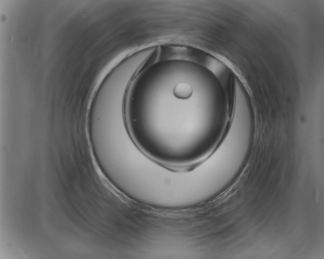 X0000086081342200704091251