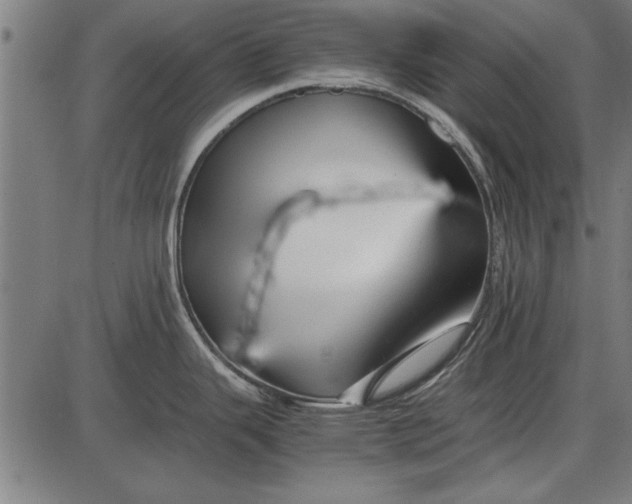 X0000086081343200704091251