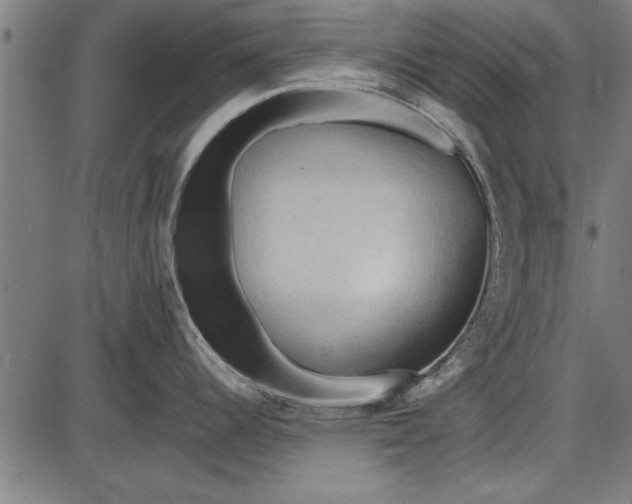 X0000086081344200704091251