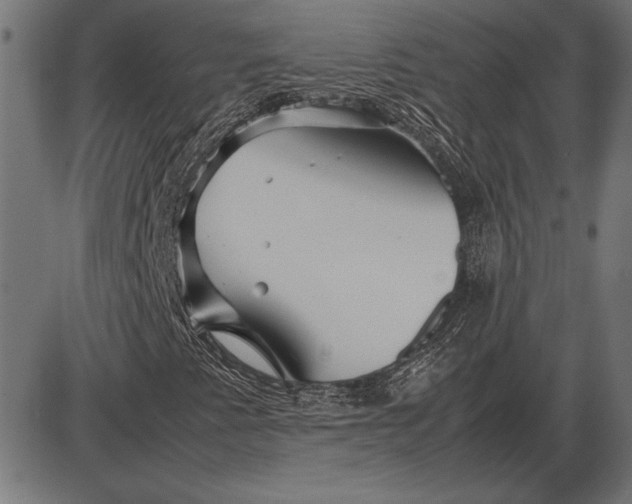 X0000086081345200704091250