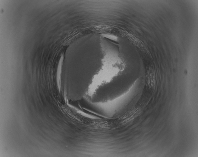 X0000086081346200704091250