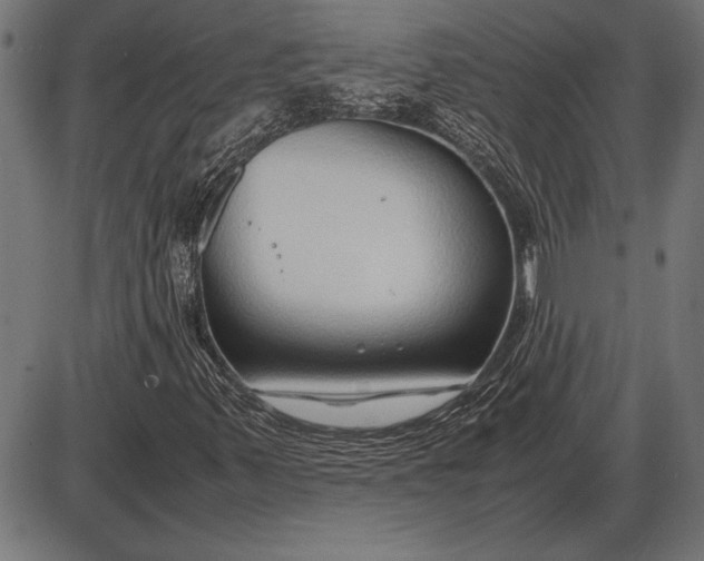 X0000086081347200704091250